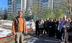 Нашей аллее цвесть!